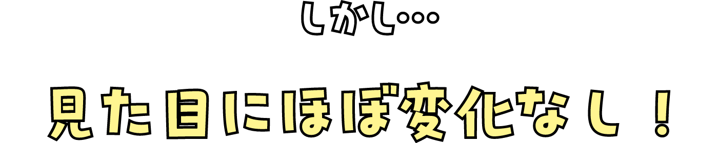 しかし…見た目にほぼ変化なし！